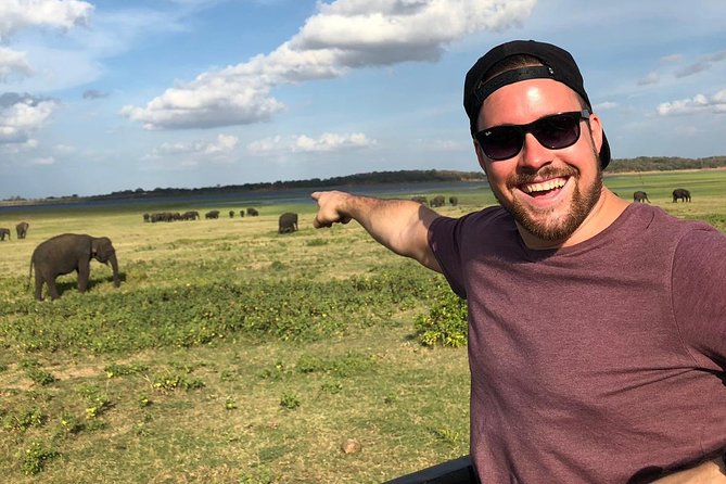 Private Car & Driver for 07 Days Tour In Sri Lanka - Day 1: Dambulla caves and elephants at Kaudulla or Minneriya