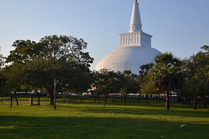Private City Day Tour in Anuradhapura - Jethawanaramaya and the engineering of brick
