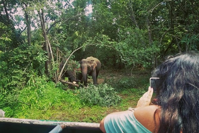 Private Dambulla Sigiriya Tour from Kandy with Lunch - Dambulla Cave Temple in 30 minutes