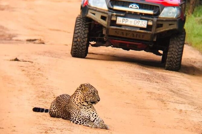 Private Day Tour from Colomb to Yala Safari (Leopard Safari Tour) - What the 10 to 12 hour day feels like