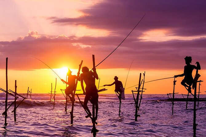 Private Day Trip to Yala National Park from Colombo - Yala’s four-hour safari is the reason to take the trip