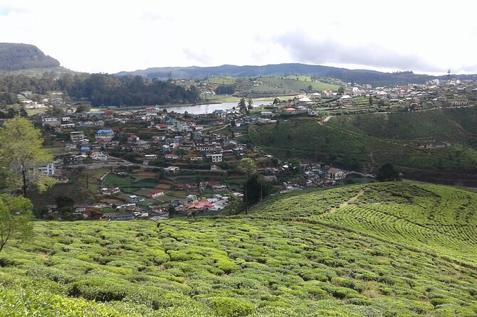 Private Full Day Tour to Nuwara Eliya from Kandy - Walking Through Tea Plantations