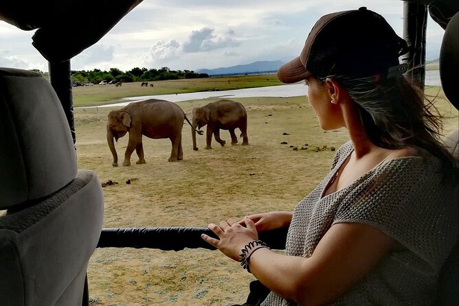 Private Half Day Safari in Udawalawe National Park - Elephants, jungle cats, and the animals you may miss