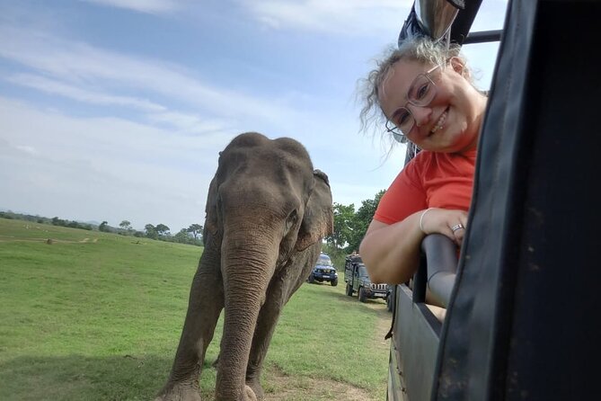 Private Jeep Safari at Minneriya National Park to Visit Elephants - What you may see besides elephants