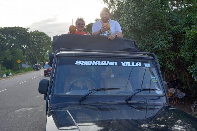 Private Jeep Safari at Minneriya National Park to Visit Elephants - Price, park fees, and the real value