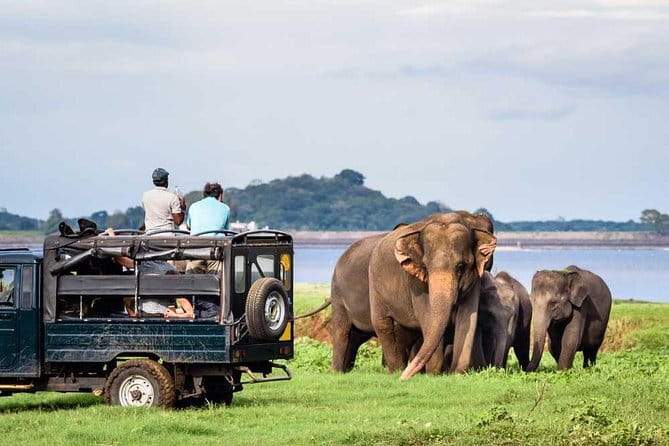 Private Jeep Safari To one of a Best National Park - Key points to know before booking