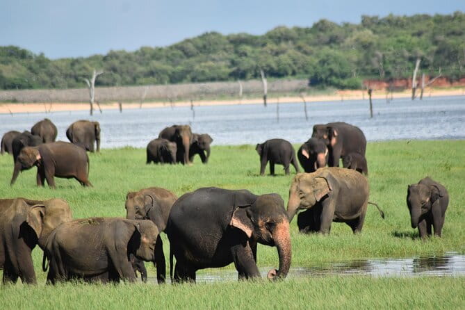 Private Jeep Safari To one of a Best National Park - A private jeep changes the feel of the day