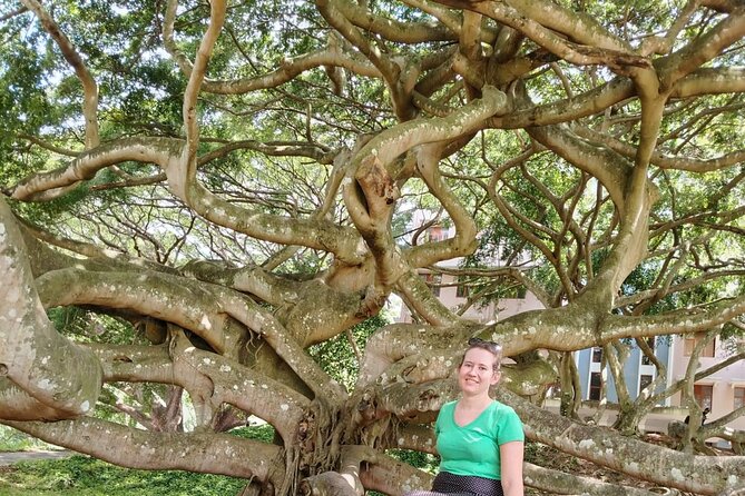 Private Kandy City Tour: Temple of the Tooth & Lake Highlights - Bahirawakanda and the giant Buddha