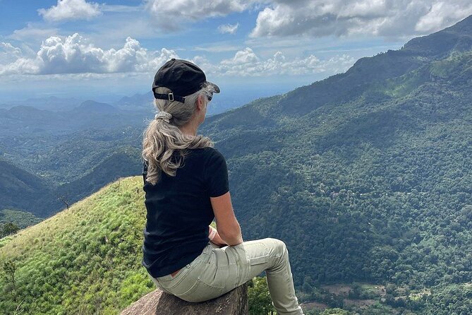 Private Multi Day Sri Lanka Tour with Chauffeur - Day 4: Ella’s bridge, tea hills, and waterfalls