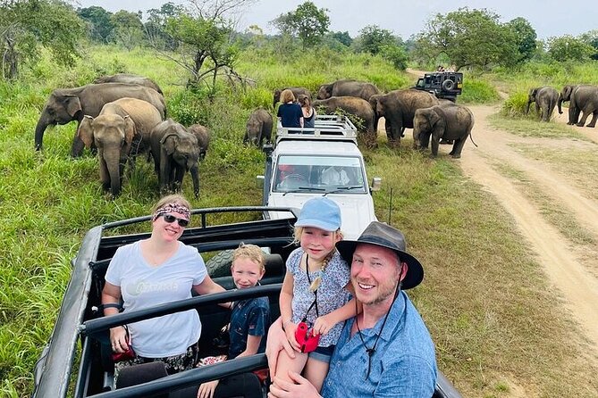 Private Polonnaruwa Ruins & Minneriya Safari Tour from Sigiriya - Kings, Libraries, and the Royal Palace