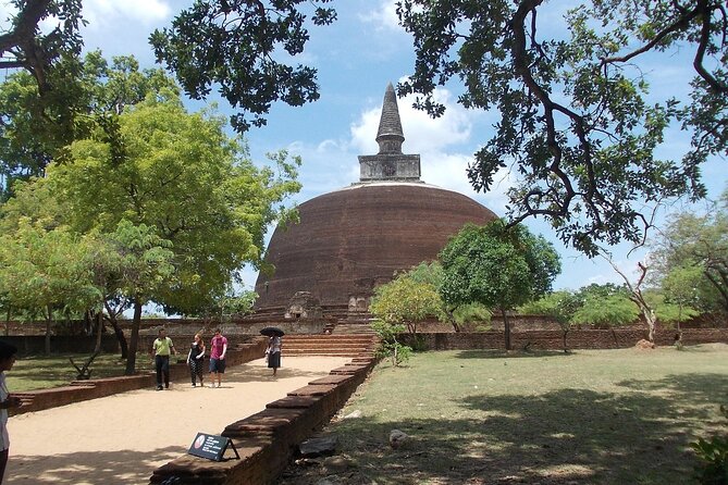 Private Polonnaruwa Ruins & Minneriya Safari Tour from Sigiriya - Three Hours in a Safari Jeep