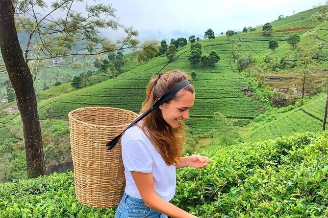 Private Ravana Falls and Nine Arches Bridge Ella Tour from Galle - Weather, timing, and what to bring