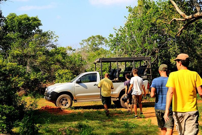 Private Tour: Yala National Park Safari - Choosing between four hours and fourteen