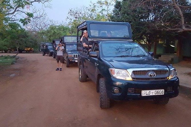 Private Tour : YALA National Park with Experienced Driver and Guide - Choosing between five hours and a full day