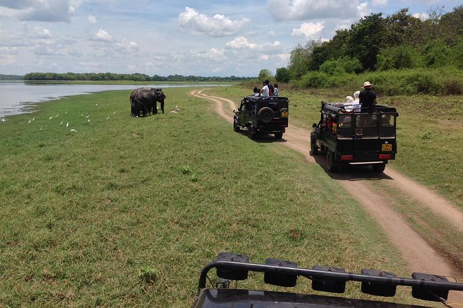 Private Trip to Sigiriya, Dambulla & safari from Colombo/ Negombo - The long return drive from Colombo or Negombo