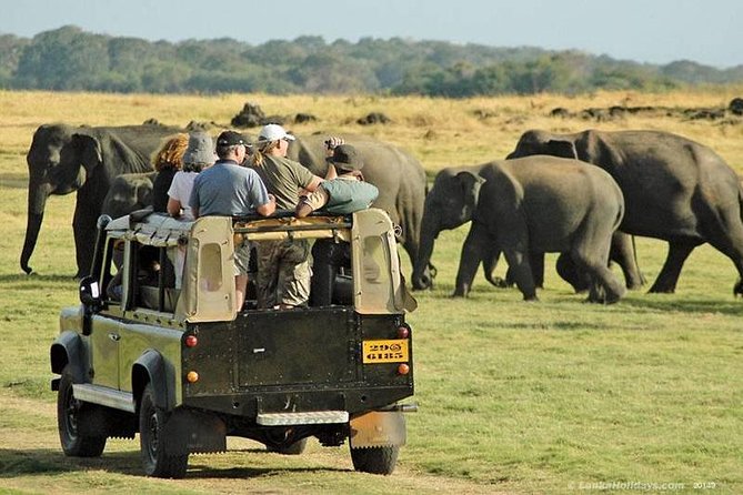 Private Trip to Sigiriya, Dambulla & safari from Colombo/ Negombo - What the $67 price really covers
