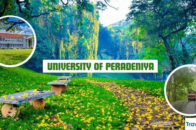 Private Tuk Tuk Tour of Kandy City & Surroundings - Two hours at Peradeniya Royal Botanical Garden