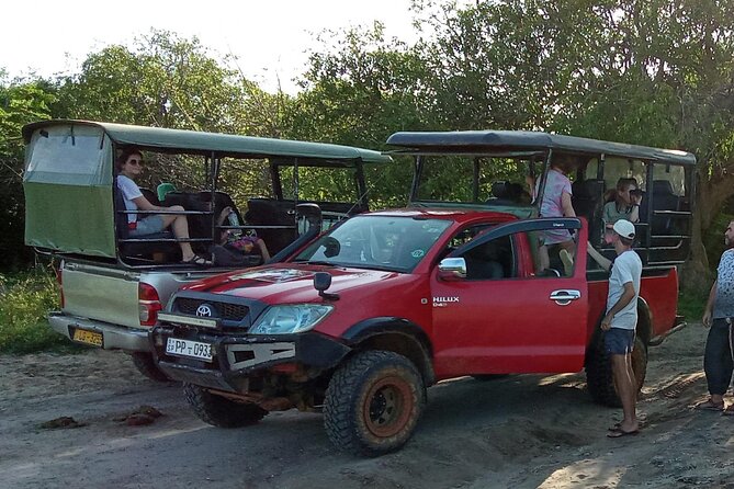 Private Wilpatu National Park Leopard safari from Colombo/Negambo - Lunch near Wilpattu before the game drive