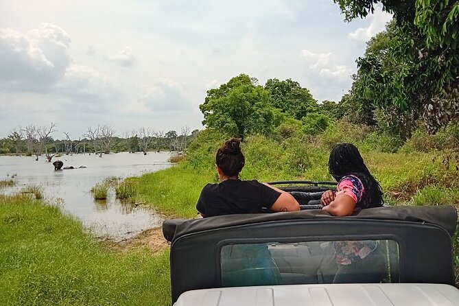 Private Wilpatu National Park Leopard safari from Colombo/Negambo - Leopards, sloth bears, and the value of patience