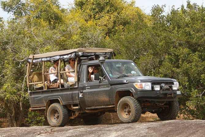 Private Yala Safari Day Trip & Exclusive Beach BBQ Dinner - Three hours in Yala, with the right expectations