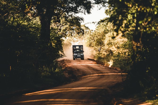 Private Yala Safari Day Trip & Exclusive Beach BBQ Dinner - Four courses, one bottle, and a beach bonfire
