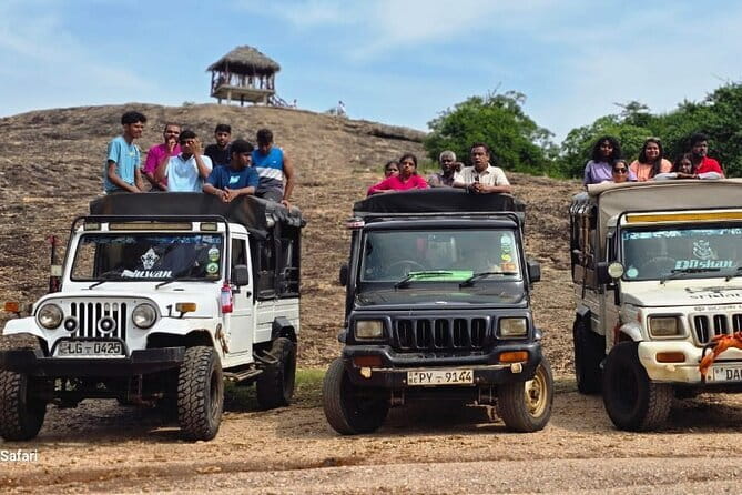 Safari Adventure in Minneriya national Park Sri Lanka - Why Minneriya’s elephants are the main event