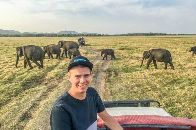 Safari Adventure in Minneriya national Park Sri Lanka - Who should book this Minneriya safari?
