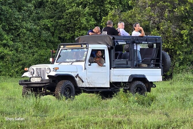 Safari Adventure in Minneriya national Park Sri Lanka - The 6:00 am pickup and private jeep
