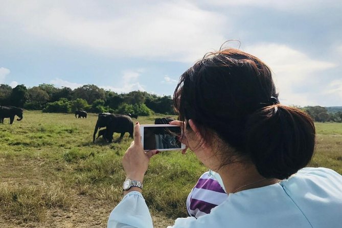 Safari Tour at Minneriya National Park - Why this safari is about more than a quick elephant sighting