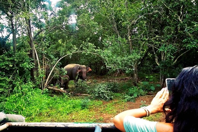 Safari Tour at Minneriya National Park - Who will get the most from this experience?