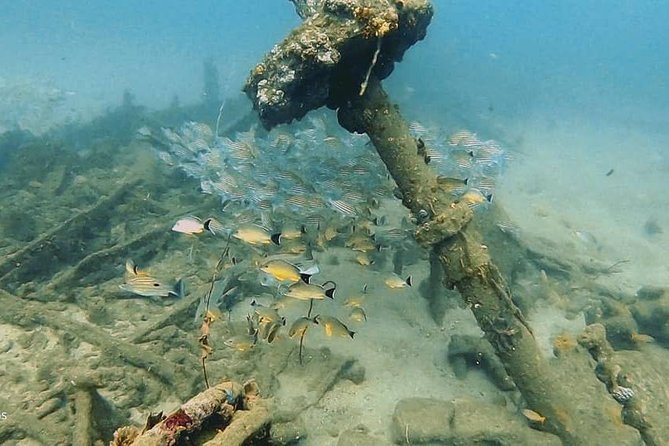 Scuba Diving at Unawatuna - Is $70 a fair price?