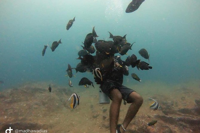 Scuba Diving at Unawatuna - Weather, cancellation, and planning advice