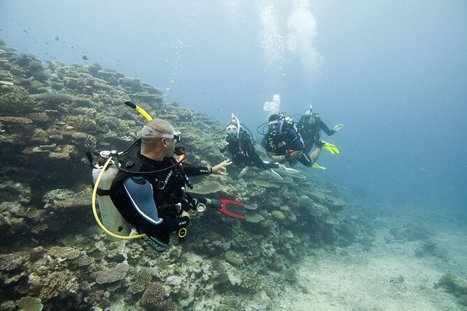 Scuba Diving For Beginners - Two versions, two different levels of commitment
