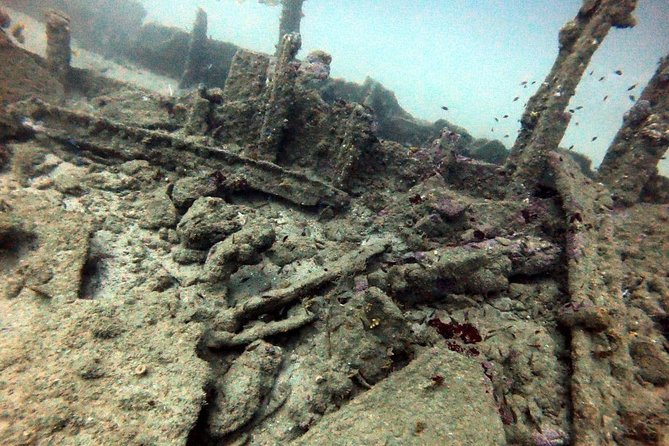 Scuba Diving in Unawatuna - Who will get the most from this experience?
