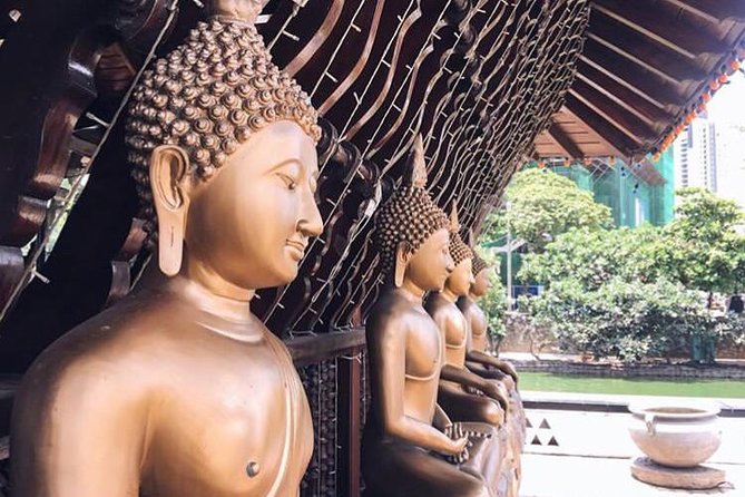 Shore Excursion Colombo City Tour Highlights - Transport, comfort, and the pace of the day