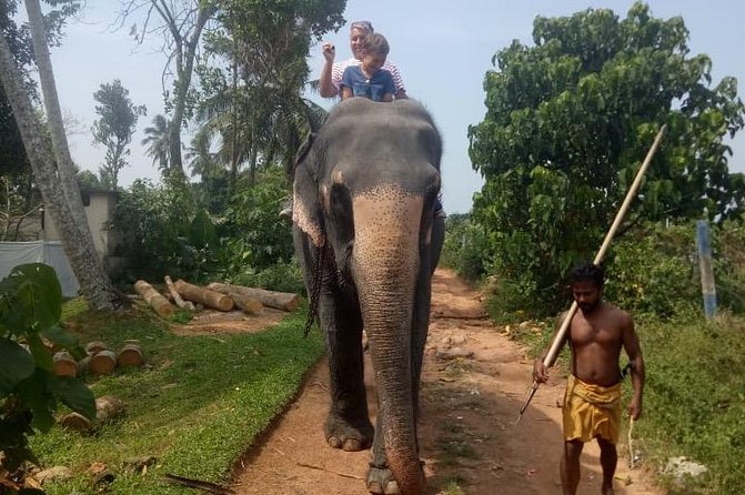 Shore Excursion From Colombo port to Ingiriya Tea Plantation & back for 2 People - How much time should you allow from the ship?