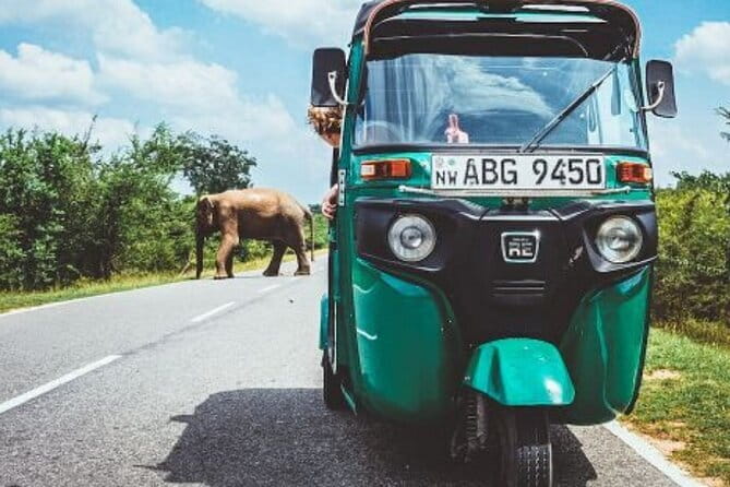 Sigiriya and Dambulla Day Tour from Kandy - Who should book this experience