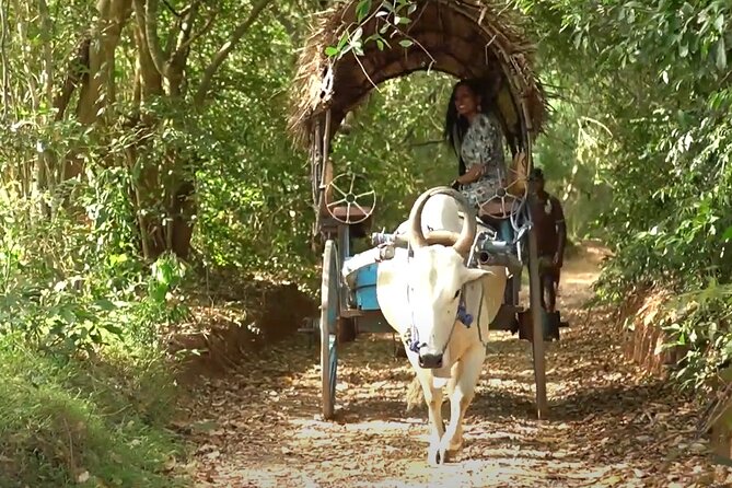 Sigiriya and Dambulla Private Day Tour by Tuk-Tuk or Car - Seeing two famous rocks from Pahalagama Lake