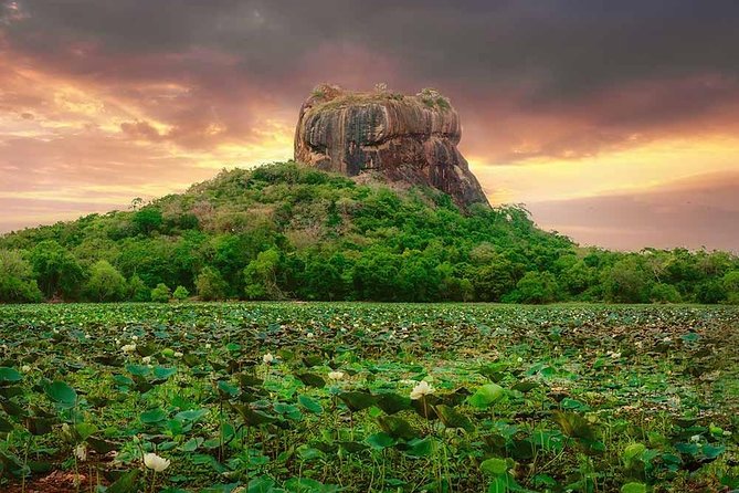 Sigiriya and Dambulla Tour (All Inclusive) - Lunch, water, and the value of an all-inclusive price