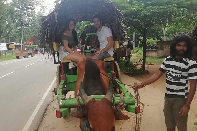 Sigiriya city tour from Negombo & Colombo with traditional Lunch. - The craft village and the best local contact
