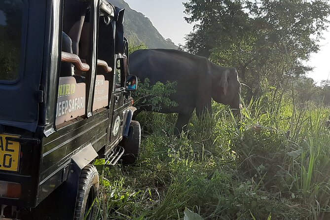 Sigiriya, Dambulla and Minneriya National Park Private Tour In - Key points to know before booking