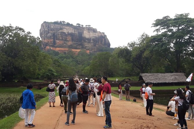 Sigiriya, Dambulla and Minneriya National Park Private Tour In - What the private format adds