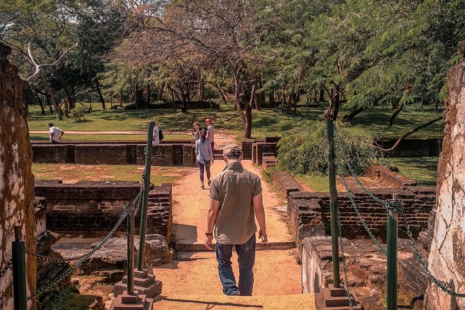 Sigiriya, Polonnaruwa & Dambulla "Trilogy" Day Tour from Colombo - Sigiriya Rock, the day’s big challenge