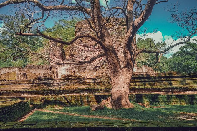 Sigiriya, Polonnaruwa & Dambulla "Trilogy" Day Tour from Colombo - Small details that make the day easier