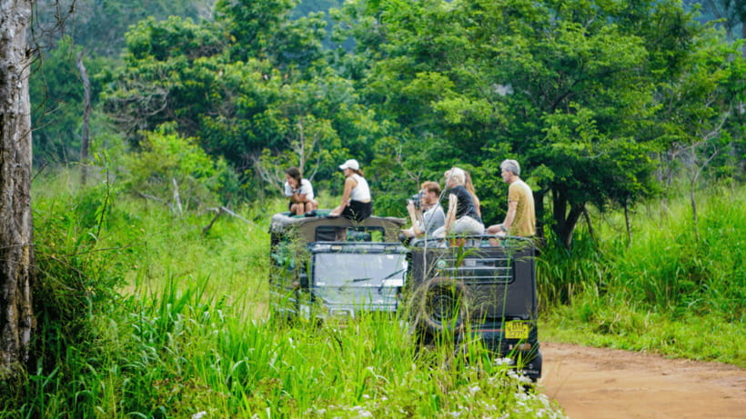 Sigiriya Rock Hike & Minneriya Elephant Safari – Day Tour - Lunch needs a clear question before you go