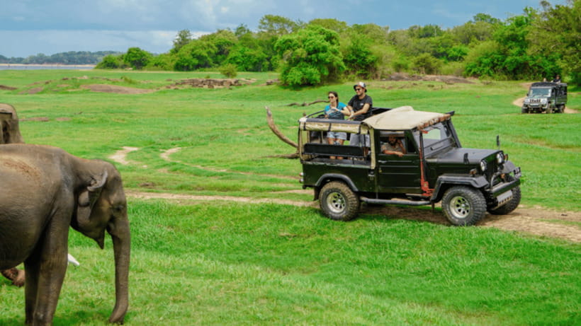 Sigiriya Rock Hike & Minneriya Elephant Safari – Day Tour - The brief Kaudulla stop