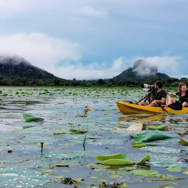 Sigiriya: Sunrise or Sunset Kayaking Tour - Key points to know before you paddle