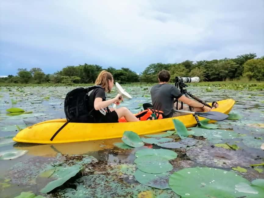 Sigiriya: Sunrise or Sunset Kayaking Tour - Sigiriya Rock and Pidurangala from the water