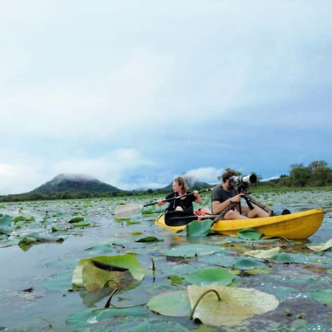 Sigiriya: Sunrise or Sunset Kayaking Tour - Arriving at the lake from Sigiriya