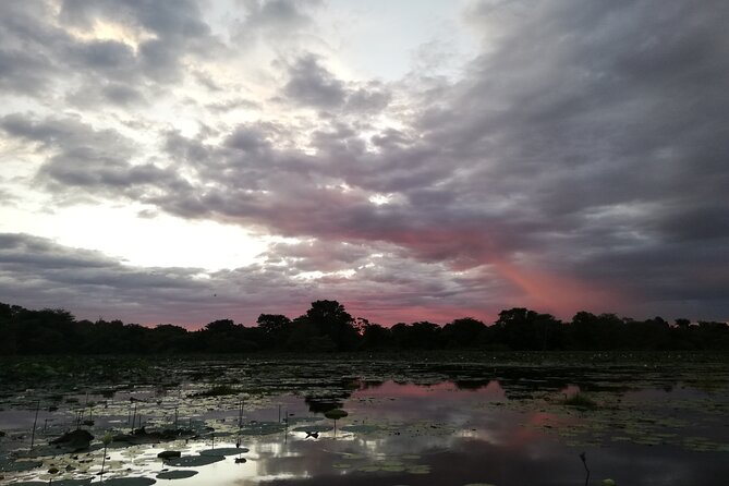 Sigiriya Sunrise/Sunset Guided Boat Ride - Is $48 good value?